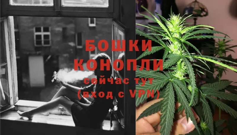 где купить наркоту  Междуреченск  Бошки марихуана Ganja 